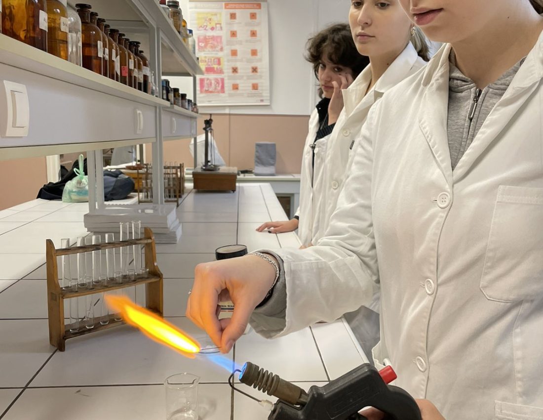 farmacija7